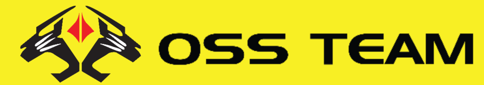 Oss Team